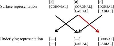 Contrast and Conflict in Dutch Vowels